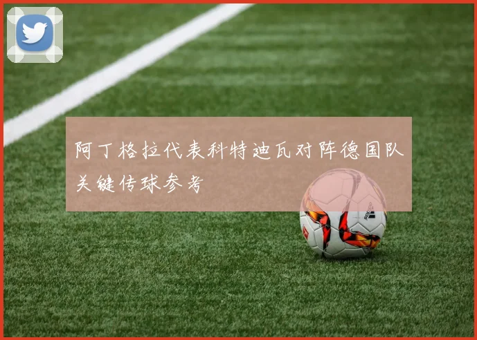 阿丁格拉代表科特迪瓦对阵德国队关键传球参考