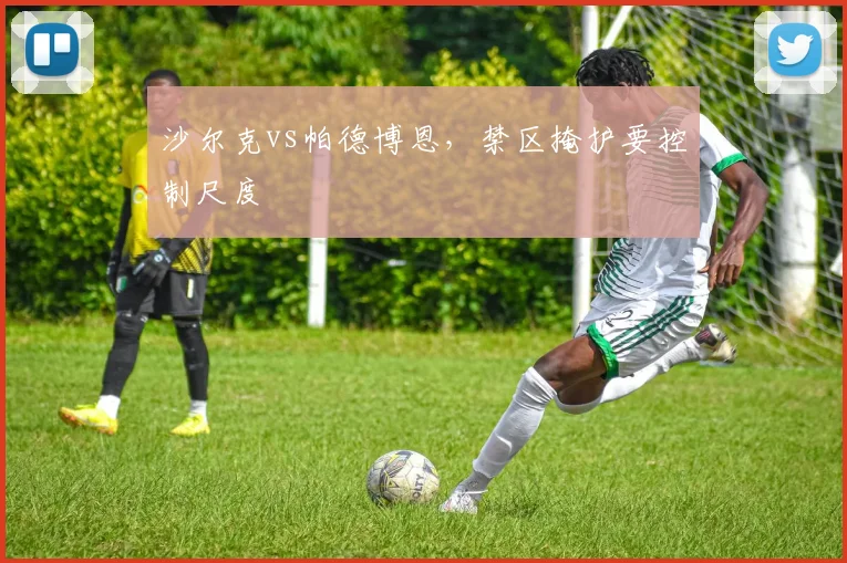 沙尔克vs帕德博恩，禁区掩护要控制尺度