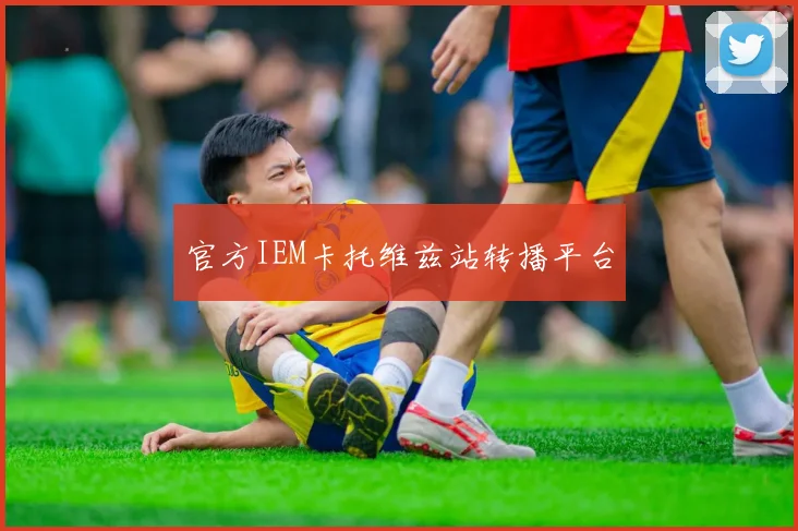 官方IEM卡托维兹站转播平台
